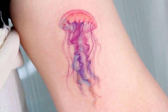 02b67263fbb032335fa329e5ab1fe080