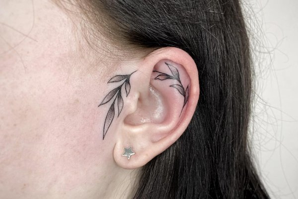 264150676_1179374975923933_7092781466208786941_n