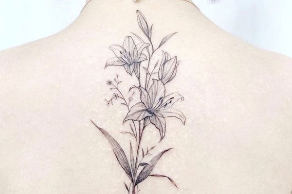 Лилия (22)