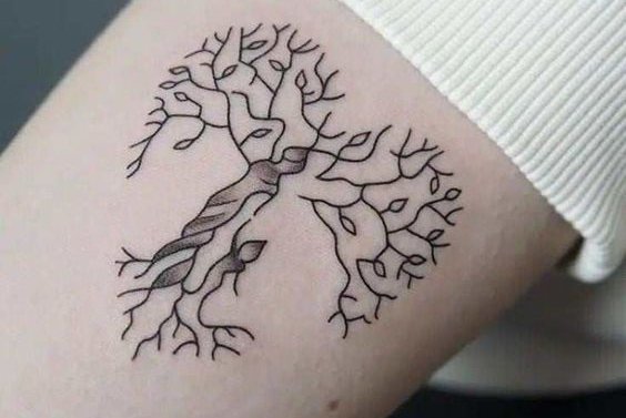 Семейное дерево (2)