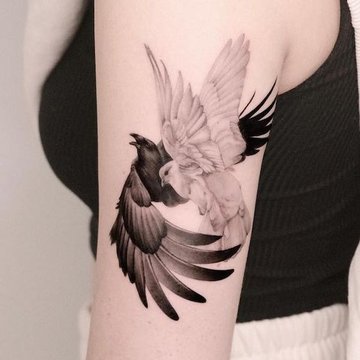 daae528783a05393fc9b1906a2b7d173