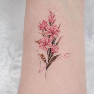 гладиолус (39)