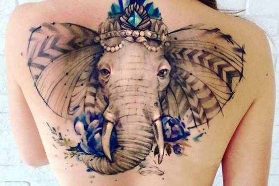 индийский слон (2)