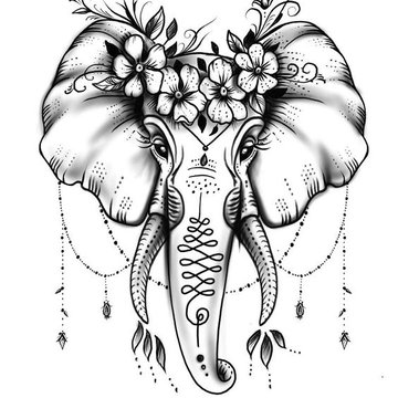 индийский слон (21)