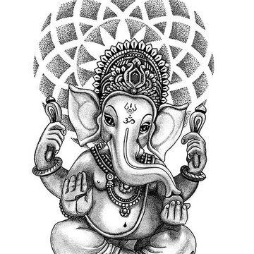 индийский слон (24)