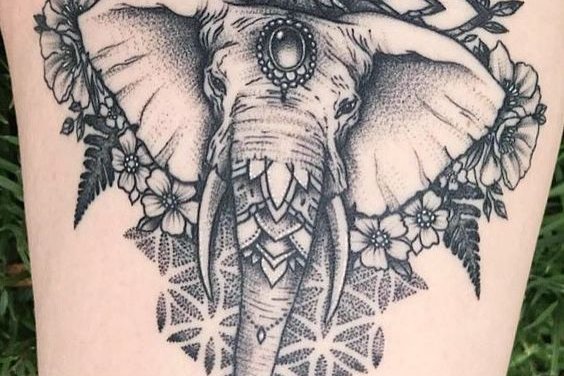 индийский слон (44)