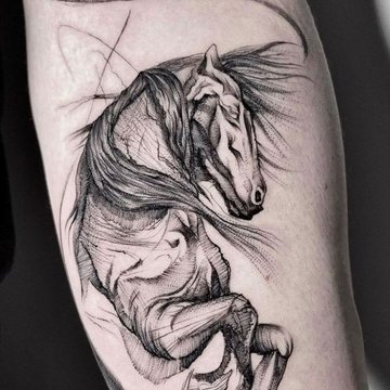 конь (23)