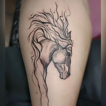 конь (7)