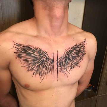 крылья (26)