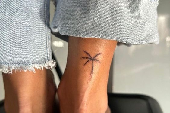 пальма (13)