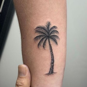 пальма (29)