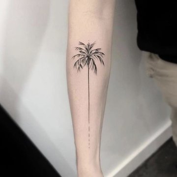 пальма (30)