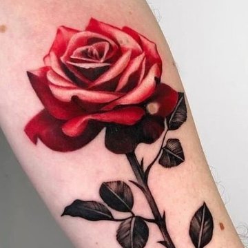 роза (2)