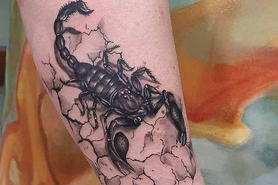 скорпион (7)