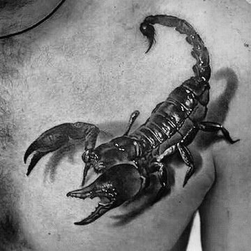 скорпион (9)