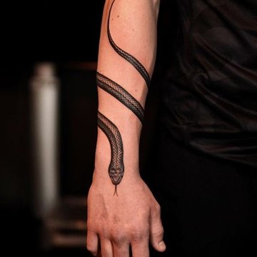 змея (28)