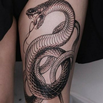 змея (37)