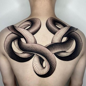 змея (38)